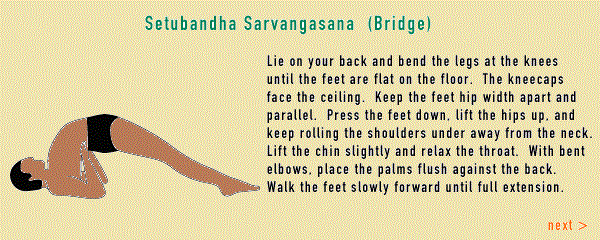 Sivananda Yoga - 12 Basic Asanas. 